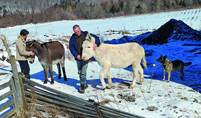 Chantale Gagnon, Jocelyn Debaque, les ânes et le chien. Photo par Dominique Langevin