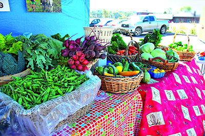 Kiosque des Jardins au Marché public Lac Mégantic. Photo par Les jardins au pas de l’âne 